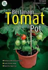 Bertanam Tomat Di Pot